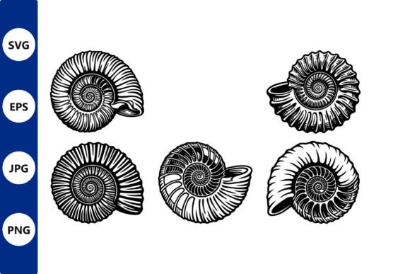 Ammonite Shells in Black and White Line: A Strategic Asset for Modern Design