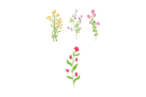 Assorted Blooming Flora Elements: A Practical Review