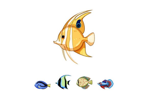 Colorful Tropical Marine and Freshwater Fish: A Practical Evaluation
