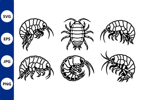Crustacean Vector Silhouettes Shrimp: A Practical Evaluation