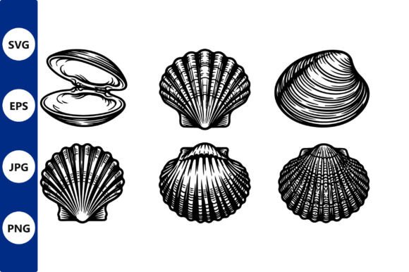 Shells Set Vector Line Art Collection